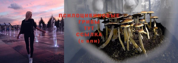 бутират Нефтегорск
