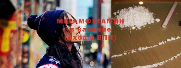 прущие грибы Наволоки