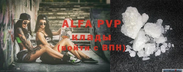 прущие грибы Наволоки
