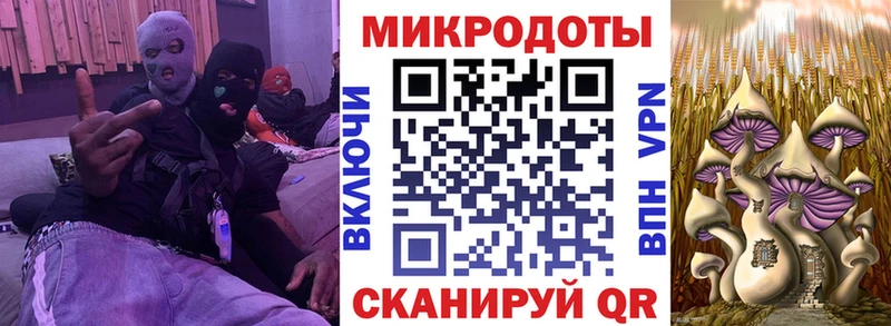Псилоцибиновые грибы Psilocybe  Купить  Салехард 