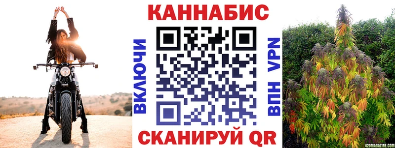 Купить закладки  Салехард  МАРИХУАНА ГИДРОПОН 